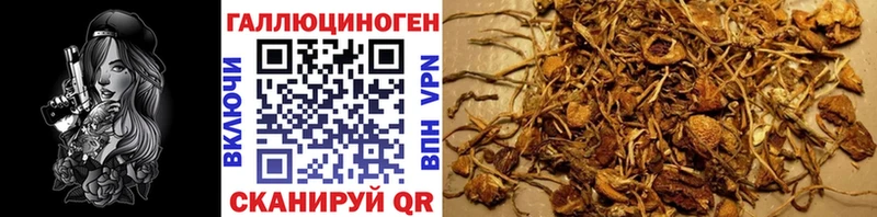 купить наркотики сайты  Вилючинск  Галлюциногенные грибы мухоморы 